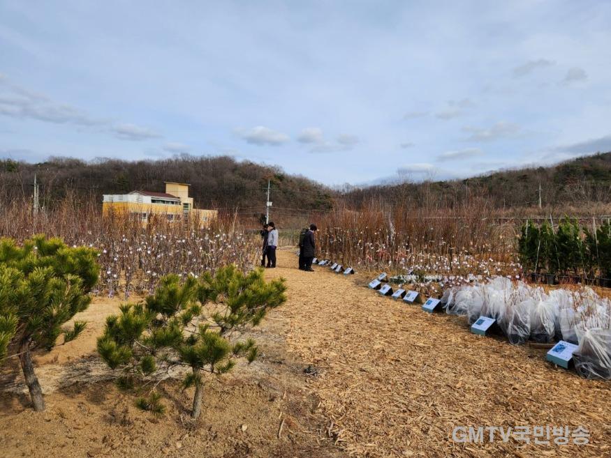 안동시산림조합, 나무시장 개장.jpg