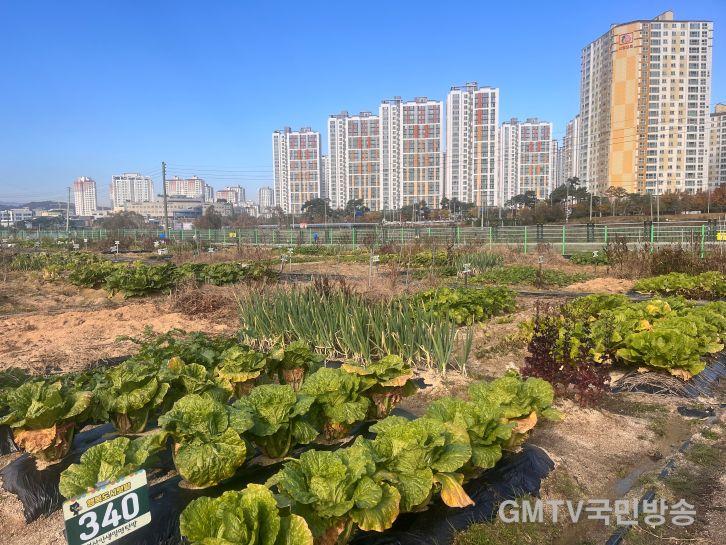 김천시, ‘행복도시 치유텃밭’ 분양 신청 접수-농촌지원과(사진1).jpg