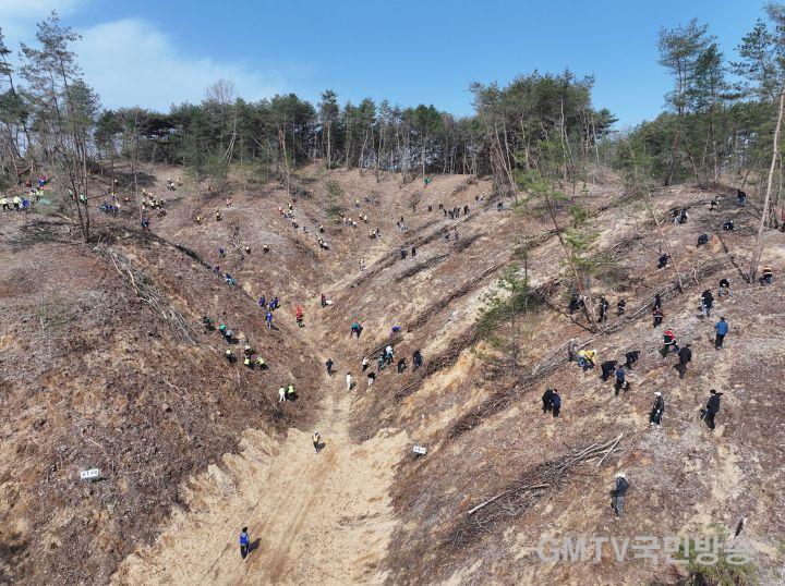 0317 안동시, 제81회 식목일 기념 나무심기 행사 개최.JPG