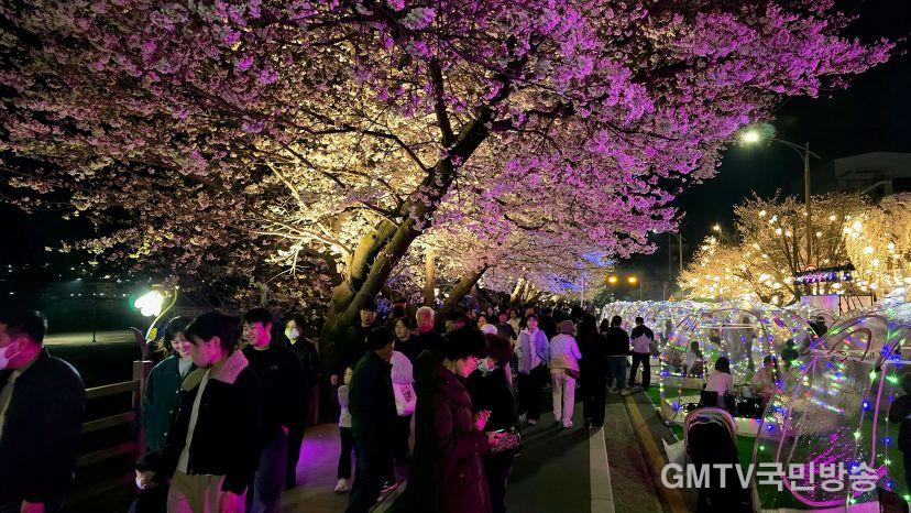 0403 안동 벚꽃축제, 이틀째 ‘인산인해’ (2).jpg