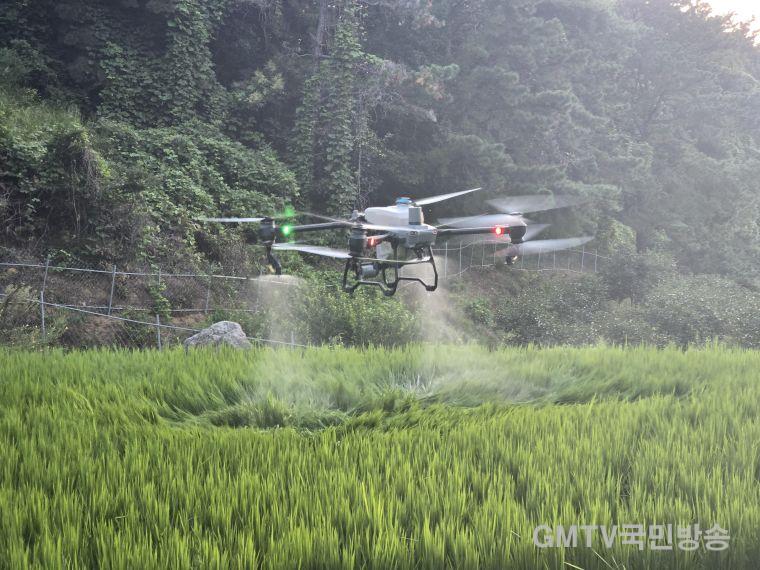 김천시, 드론 활용 농작물 「스마트 방제」로 농촌 일손 돕는다-기술지원과(사진2_벼방제).jpg
