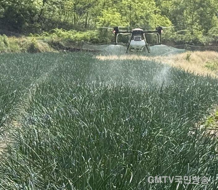 김천시, 드론 활용 농작물 「스마트 방제」로 농촌 일손 돕는다-기술지원과(사진2_양파방제).jpg